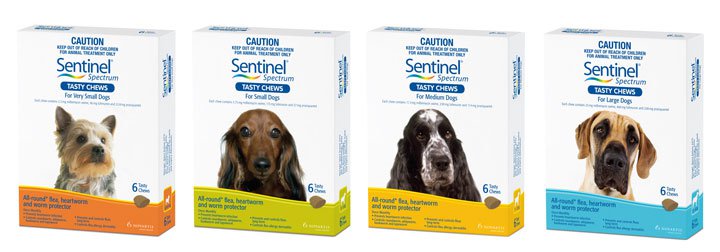 Sentinel for dogs